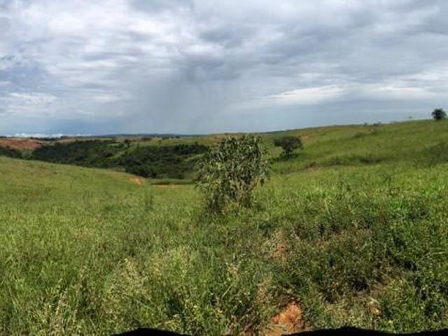 Sítio e chácara venda em Região Geográfica Imediata de Patos de Minas, Tiros