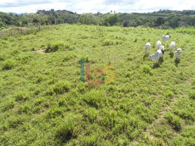Fazenda venda em Região Geográfica Imediata de Ilhéus – Itabuna, Itacaré