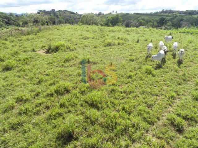 Fazenda venda em Região Geográfica Imediata de Ilhéus – Itabuna, Itacaré