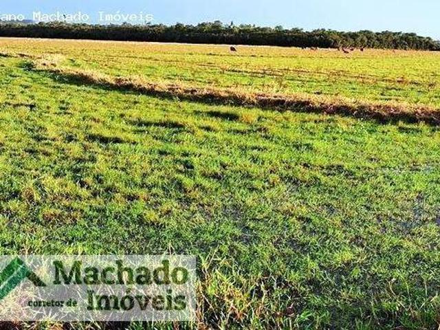 Sítio e chácara venda em Região Geográfica Imediata de Santa Maria, São Sepe