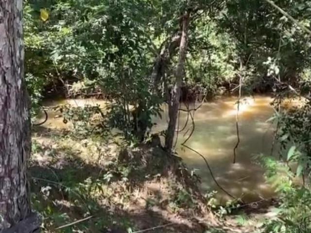 Sítio e chácara venda em Região Geográfica Imediata de Flores de Goiás, Região Integrada de Desenvolvimento do Distrito Federal e Entorno