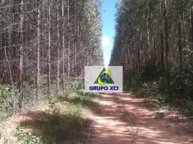 Sítio e chácara venda em Região Geográfica Imediata de São Francisco, São Romão