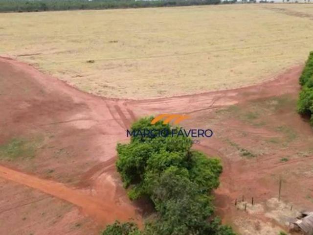 Sítio e chácara venda em Região Imediata de Presidente Prudente, Rosana