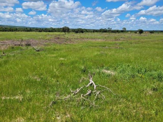 Sítio e chácara venda em Região Geográfica Imediata de Pirapora, Buritizeiro