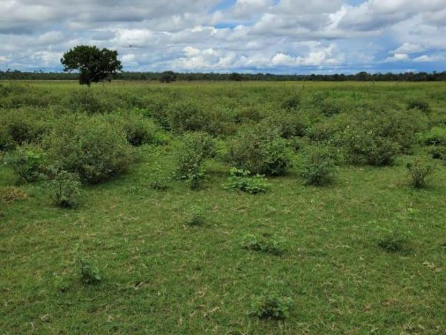 Sítio e chácara venda em Região Geográfica Imediata de Pirapora, Buritizeiro
