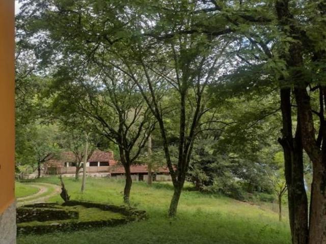 Sítio e chácara venda em Região Imediata de Amparo, Amparo