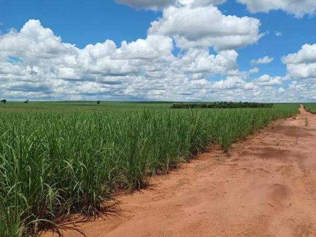 Sítio e chácara venda em Região Imediata de Dracena, Junqueirópolis