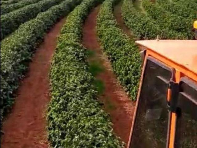 Sítio e chácara venda em Região Geográfica Imediata de Santo Antônio da Platina, Santo Antônio da Platina
