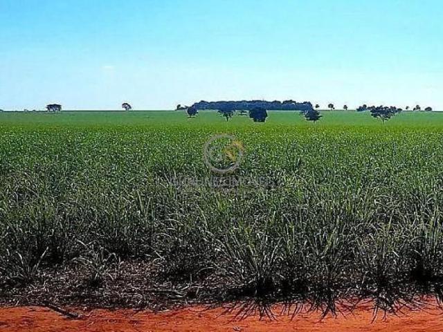 Sítio e chácara venda em Região Geográfica Imediata de Quirinópolis, Quirinópolis