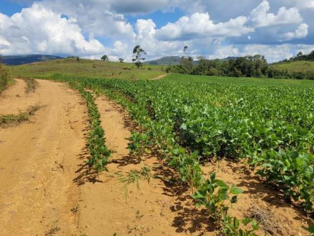 Sítio e chácara venda em Região Geográfica Imediata de Belo Horizonte, Região Metropolitana de Belo Horizonte