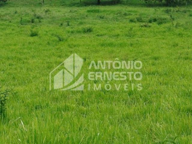 Sítio e chácara venda em Santa Filomena, Curvelo