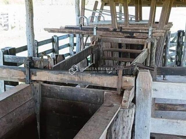 Sítio e chácara venda em Região Imediata de Marília, Região Sudeste