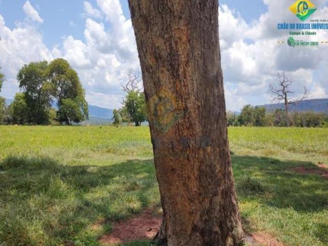 Sítio e chácara venda em Região Geográfica Imediata de Aquidauana - Anastácio, Aquidauana