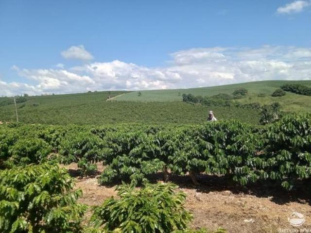 Sítio e chácara venda em Região Geográfica Imediata de Alfenas, Divisa Nova