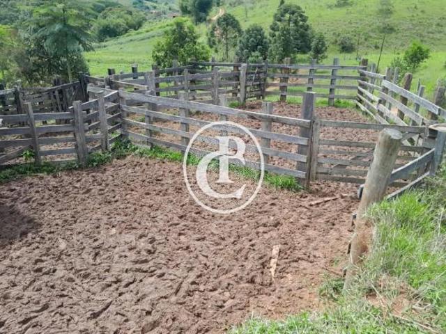 Sítio e chácara venda em Região Imediata de Campinas, Região Metropolitana de Campinas
