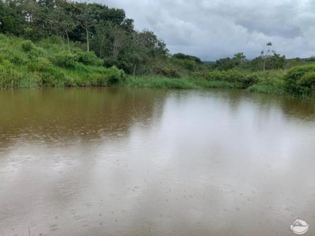 Sítio e chácara venda em Região Geográfica Imediata de Patos de Minas, Patos de Minas