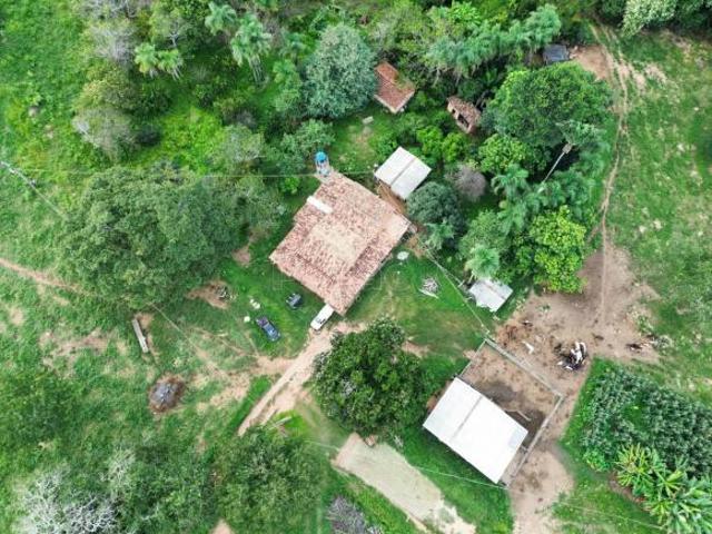 Sítio e chácara venda em Região Geográfica Imediata de Goiás - Itapuranga, Itapuranga