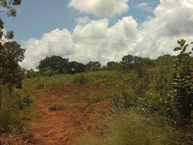 Sítio e chácara venda em Francisco Sá, Região Geográfica Intermediária de Montes Claros