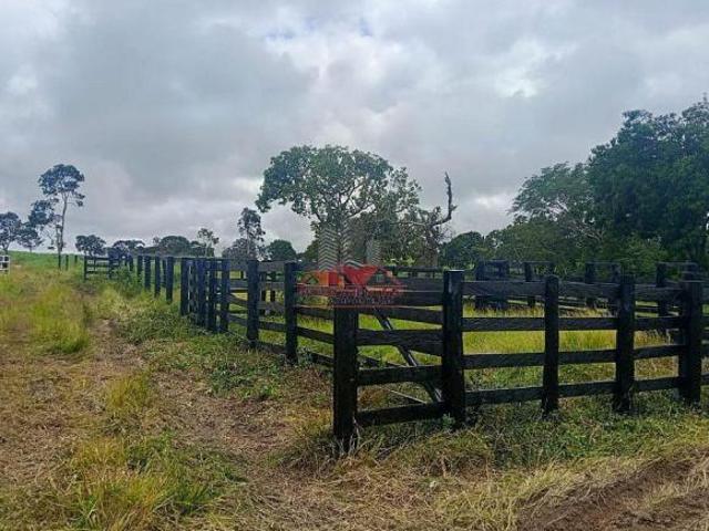Sítio e chácara venda em Região Geográfica Imediata de Ceres - Rialma - Goianésia, Crixás