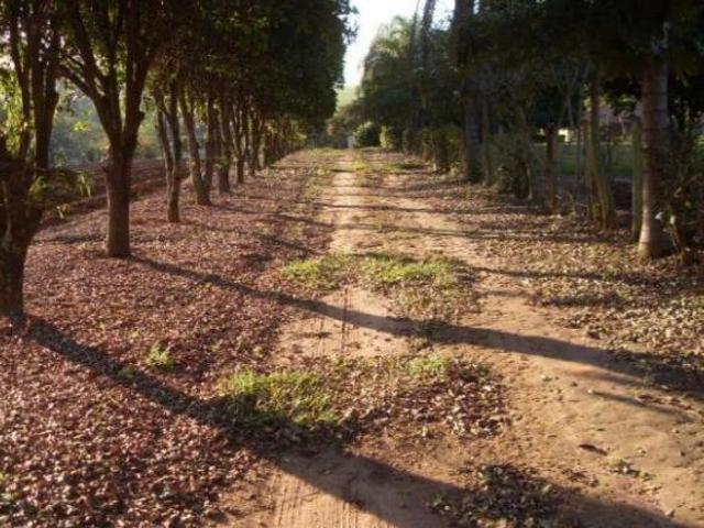 Sítio e chácara venda em Região Imediata de Piracicaba, Região Metropolitana de Piracicaba