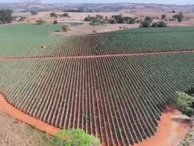 Sítio e chácara venda em Região Geográfica Imediata de Patos de Minas, Patos de Minas