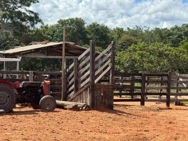 Sítio e chácara venda em Região Geográfica Imediata de Rondonópolis, Tesouro