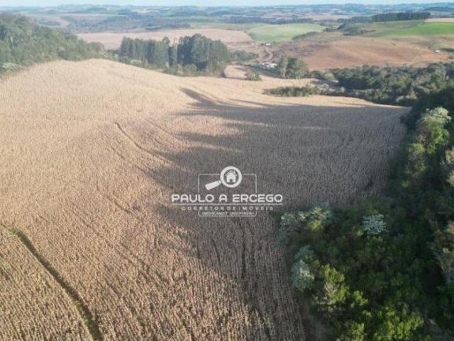 Sítio e chácara venda em Região Geográfica Imediata de Francisco Beltrão, Marmeleiro