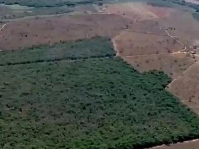 Sítio e chácara venda em Corinto, Região Geográfica Intermediária de Belo Horizonte