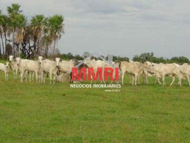 Sítio e chácara venda em Região Geográfica Imediata de Cáceres, Antônio João