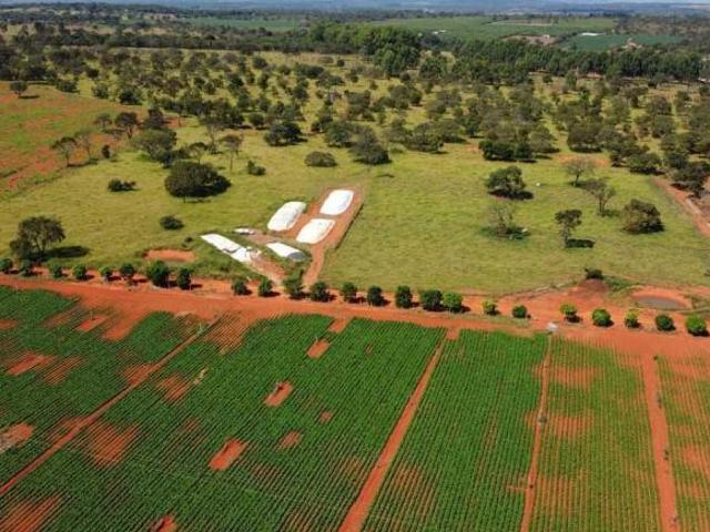 Sítio e chácara venda em Região Geográfica Imediata de Gurupi, Formoso do Araguaia