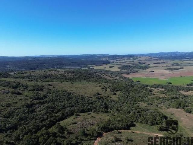 Sítio e chácara venda em Região Geográfica Imediata de Porto Alegre, Região Metropolitana de Porto Alegre