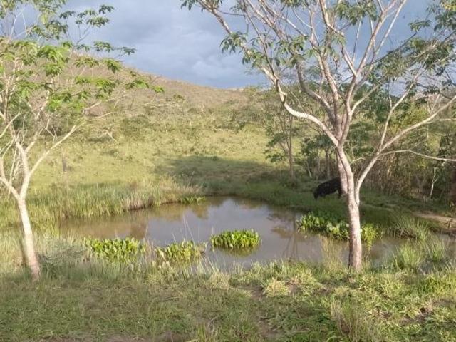 Sítio e chácara venda em Região Geográfica Imediata de Diamantina, Região Sudeste