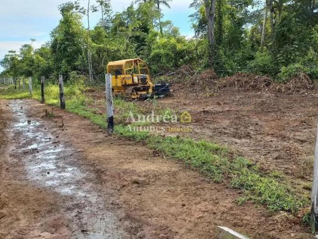 Sítio e chácara venda em Região Geográfica Imediata de Confresa - Vila Rica, Porto Alegre do Norte