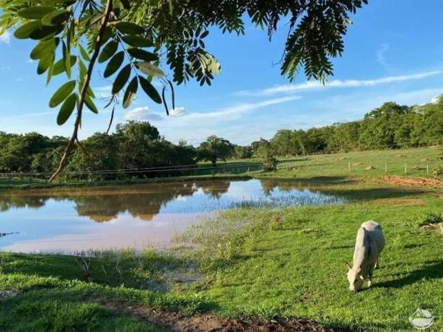 Sítio e chácara venda em Região Geográfica Imediata de Iporá, Israelândia