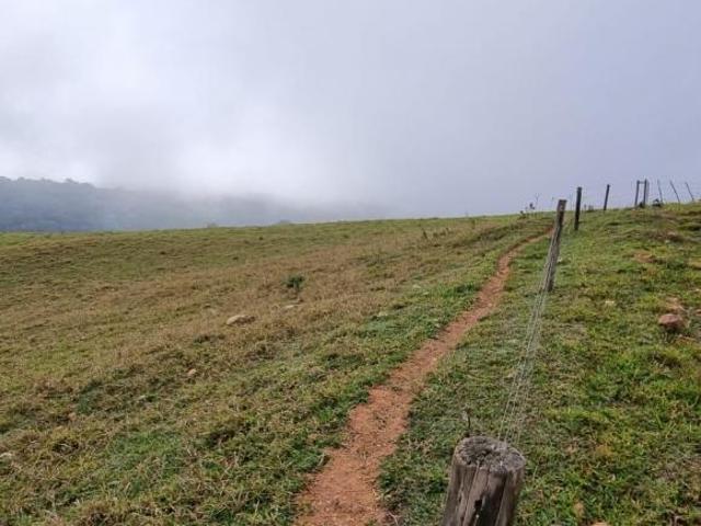 Sítio e chácara venda em Região Imediata de Itapeva, Capão Bonito