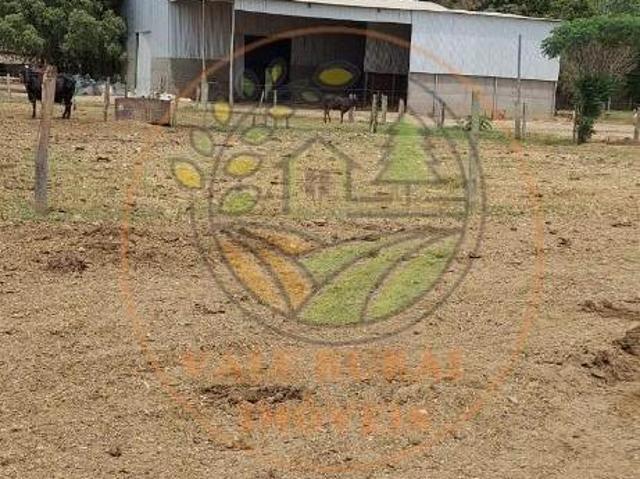 Sítio e chácara venda em Região Geográfica Imediata de Unaí, Riachinho