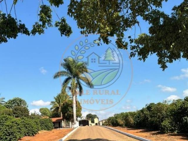 Sítio e chácara venda em Região Geográfica Imediata de Piumhi, Jerumenha