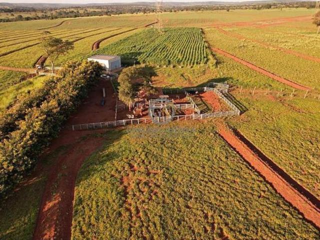 Sítio e chácara venda em Região Geográfica Imediata de Ituiutaba, Santa Vitória
