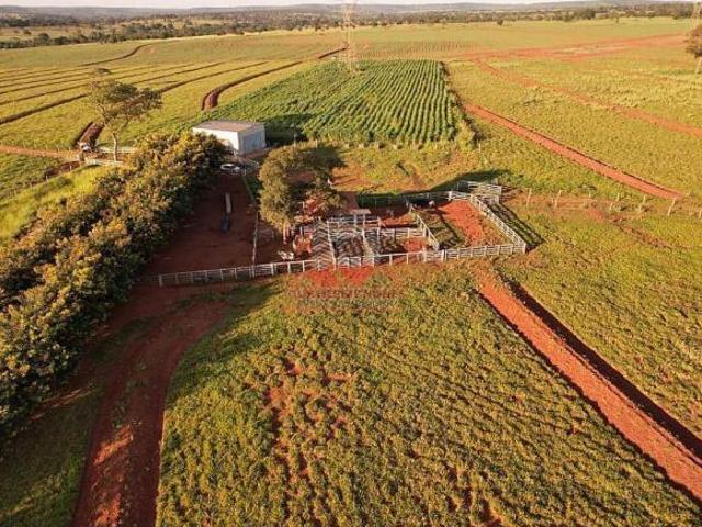 Sítio e chácara venda em Região Geográfica Imediata de Ituiutaba, Santa Vitória