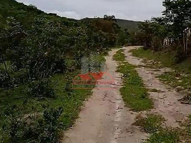 Sítio e chácara venda em Pedra Azul, Região Sudeste