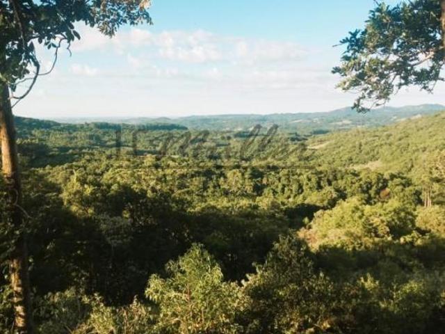 Sítio e chácara venda em Região Geográfica Imediata de Santa Cruz do Sul, Santa Cruz do Sul