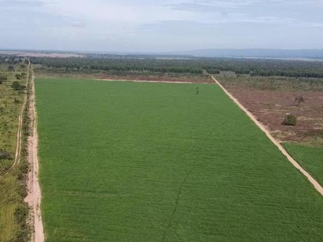 Sítio e chácara venda em Região Geográfica Imediata de Patos de Minas, João Pinheiro