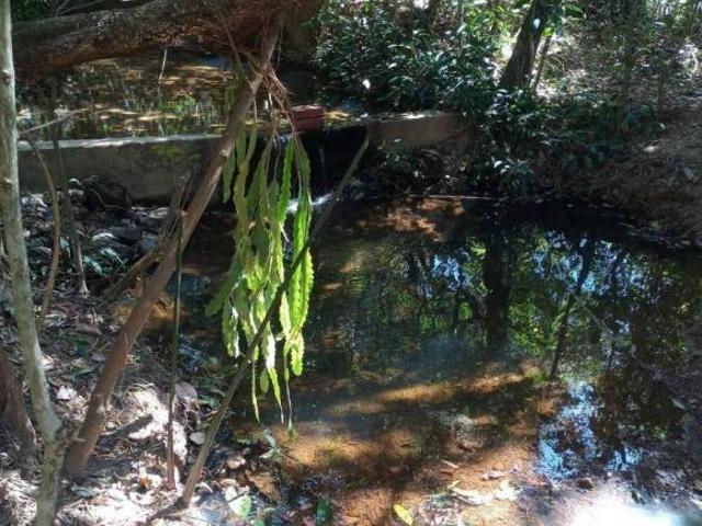 Sítio e chácara venda em Região Geográfica Imediata de Goiânia, Bela Vista de Goiás