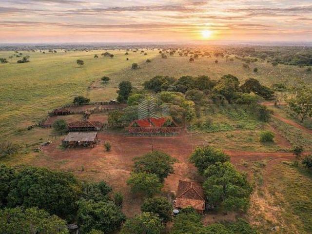 Sítio e chácara venda em Região Geográfica Imediata de Porangatu, Novo Planalto