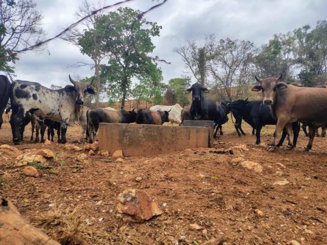 Sítio e chácara venda em Região Geográfica Imediata de Pará de Minas, São José da Varginha