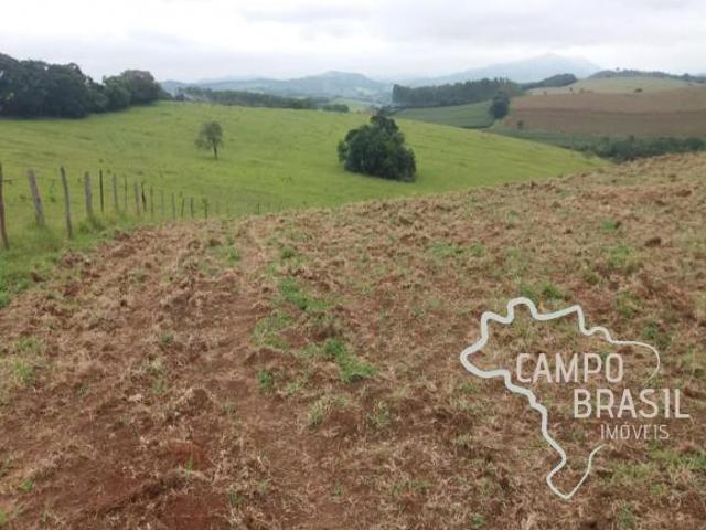 Sítio e chácara venda em Região Geográfica Imediata de São Lourenço, Carmo de Minas