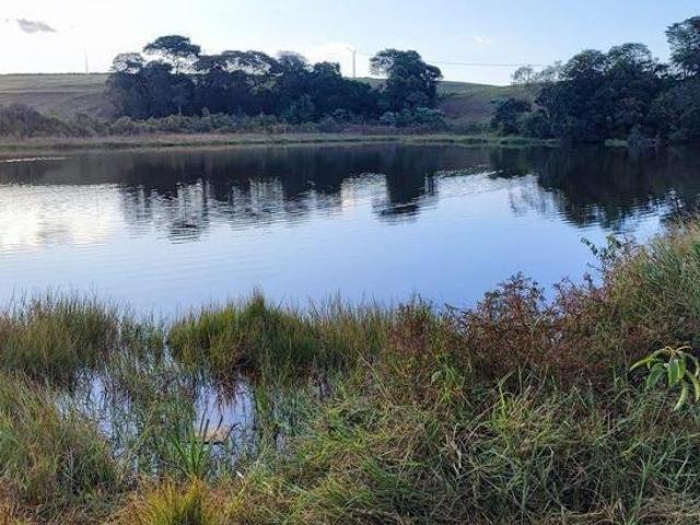 Sítio e chácara venda em Região Geográfica Imediata de Francisco Beltrão, Francisco Beltrão