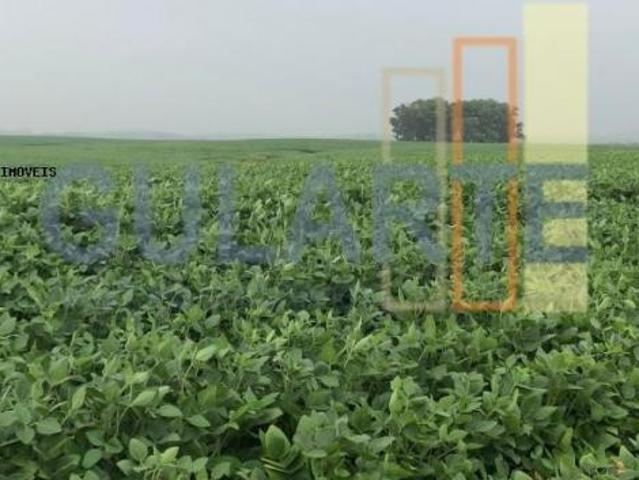 Sítio e chácara venda em Região Geográfica Imediata de Uruguaiana, Alegrete