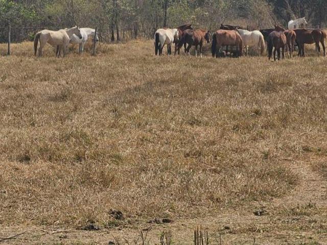 Sítio e chácara venda em Santo Antônio, Pirapora