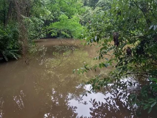 Fazenda venda em Região Imediata de Araraquara, Araraquara